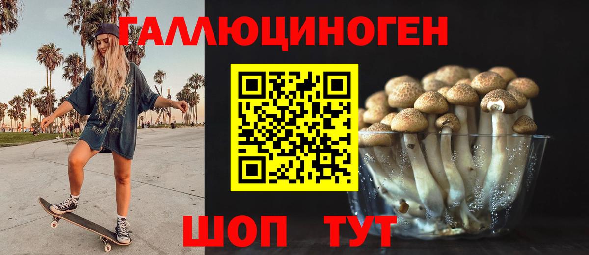 Псилоцибиновые грибы Magic Shrooms  Галлюциногенные грибы GOLDEN TEACHER  Ангарск  Вход с VPN 